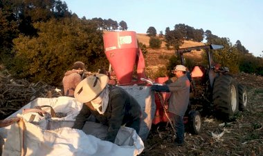 Se preparan campesinos de Joquicingo para nuevo ciclo agrícola 