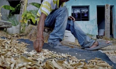Incrementa los índices de analfabetismo en Quintana Roo
