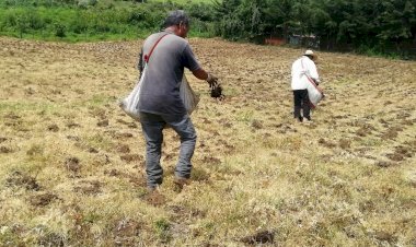 Difícil panorama para los campesinos mexiquenses