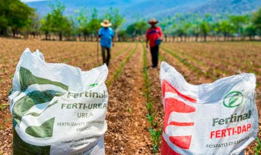REPORTAJE | Impacto en el campo por 200 por ciento de incremento al precio de fertilizantes 