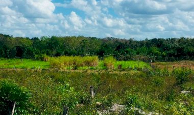 Gobiernos que lastiman los bolsillos de los campesinos de Yucatán