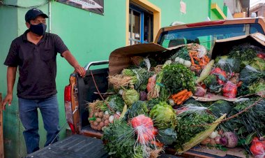 Gestiona IMO canastas de verduras a bajo costo en Ocoyucan