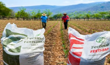 Alza de precio del fertilizante provocará crisis alimentaria, denuncian veracruzanos
