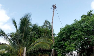 Familias solicitan ampliación de red eléctrica