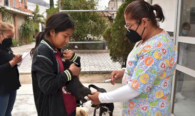 Implementan jornadas gratuitas de salud en Ocoyucan