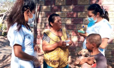Tecomatlán cumple Jornada Nacional de Vacunación Antirrábica