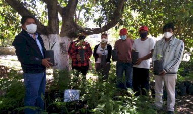 Reforestación por Día Internacional de la Madre Tierra