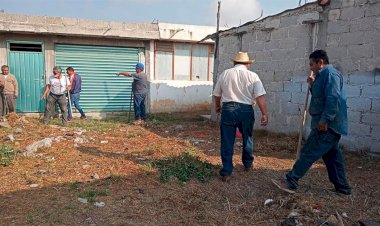 Promueve campañas de reforestación