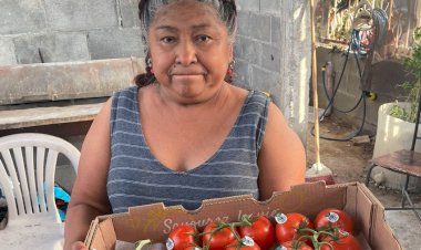Entregan dotación de tomates a familias en Nuevo Laredo