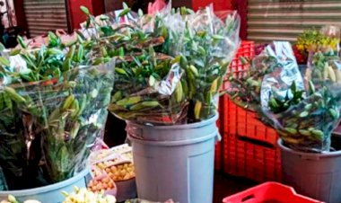 10 de Mayo eleva precios en el mercado de flores 