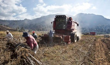 Pauperización de las poblaciones rurales por abandono del campo 