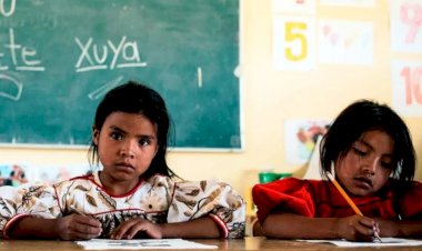 Deficiencias del sistema educativo en México para la educación especial