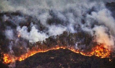 Doble siniestro: incendios forestales y sequías