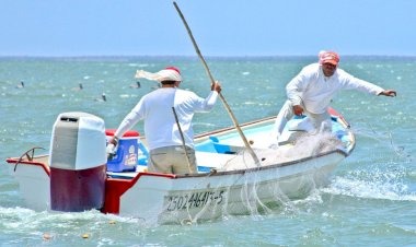Los pescadores libres en Sinaloa