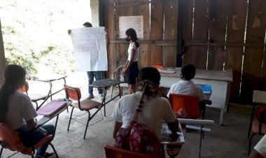 Deserción escolar en México ¿resultado de la cóvid-19?