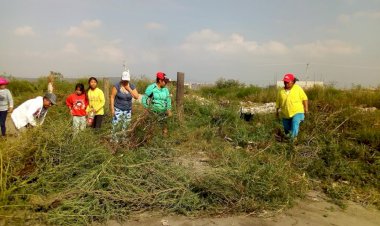 Antorchistas de Chalco limpian calles a falta de apoyo municipal