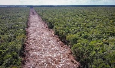 La pretendida educación ambiental de la 4T