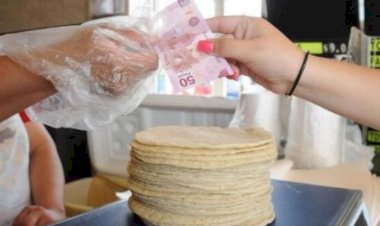 Disminuye consumo de tortilla en Campeche por alza de precios