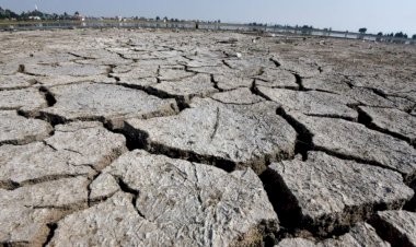 La sequía, otro mal que afecta al pueblo de Hidalgo