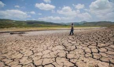 Sequía afecta a campesinos del sur de Nuevo León