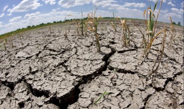 La sequía, fenómeno alarmante