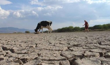 El show no es apoyo para el campo en San Luis Potosí