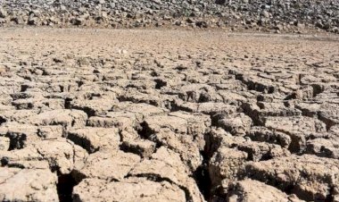Gobierno federal ignora a campesinos del norte afectados por la sequía