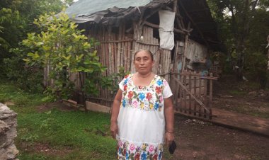 Vivienda digna, derecho violentado en Yucatán