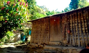 Pobladores de Cocula, en extrema pobreza y en casas muy deterioradas