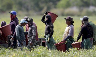 Los trabajadores deben protestar