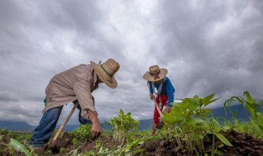 La crisis del campo mexicano