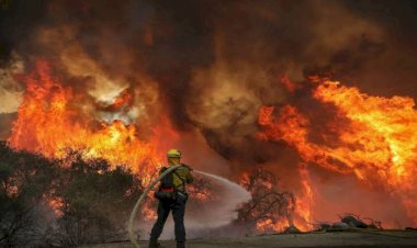 CDMX, primer lugar nacional en incendios forestales