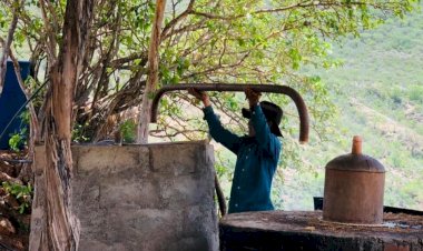 Producción de mezcal, actividad de vida de palenqueros de San Luis Amatlán