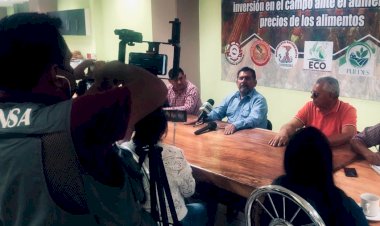 El gobierno de Guerrero debe priorizar la inversión en el campo