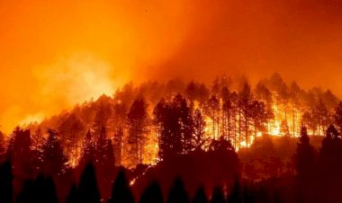 Incendios forestales, otra amenaza en Nuevo León