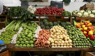 Contaminación de frutas y verduras en el sur de Jalisco