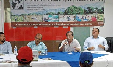 Se desploma producción de maíz en Guerrero, reviran organizaciones