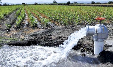REPORTAJE | Alerta por sequía en municipios de San Luis Potosí