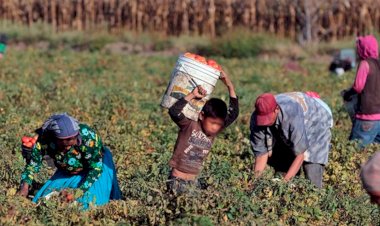 Trabajo infantil, problema que ignoran gobiernos morenistas