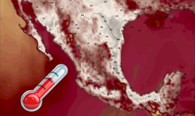 Intensa ola de calor afecta a Tamaulipas