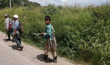 Jóvenes de Quintana Roo abandonan sus estudios para contribuir al gasto familiar