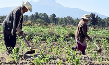 Otro año más de sequía para los campesinos en Tlaxcala