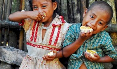 Mala alimentación, uno de los problemas que enfrentamos los mexicanos