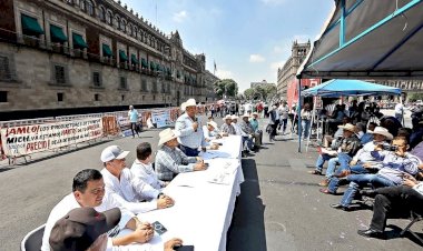 ¿Qué hay con la movilización de los productores de granos mexicanos en Palacio Nacional?