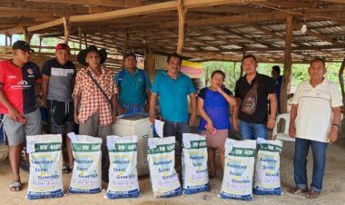 Reciben semilla mejorada campesinos de Tonalá