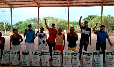 Reciben semilla de maíz mejorada, campesinos de La Cuchilla, Juchitán
