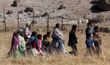 Crisis por falta de agua para siembras en la Sierra Tarahumara
