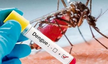 Quintana roo ocupa tercer lugar nacional en casos de dengue