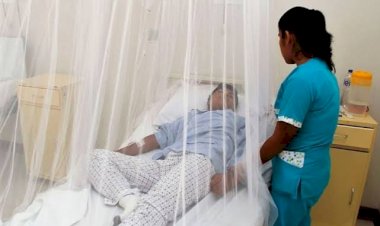 El dengue está matando a los morelenses, pero es más importante la campaña