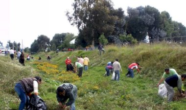 Vecinos de Xicohténcatl unen fuerzas para rescatar un área verde